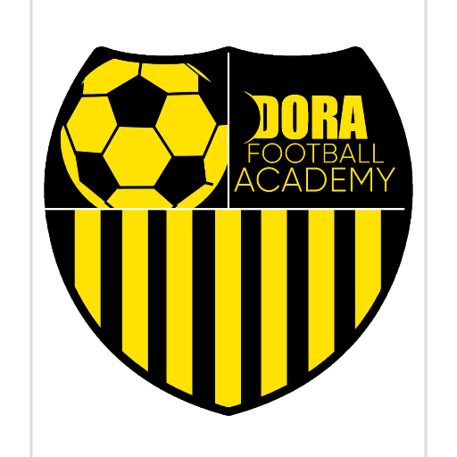 Dora Futbol Akademi logosu